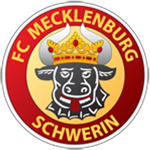Vereinslogo FC Mecklenburg Schwerin U 17 (Futsal)