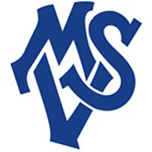 Vereinslogo MSV Duisburg