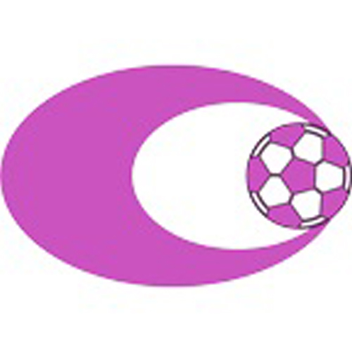 Club logo SV Casino Salzburg