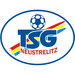 Club logo TSG Neustrelitz