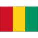Club logo Guinea