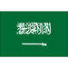Club logo Saudi Arabia