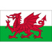 Vereinslogo Wales U 15