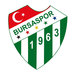 Vereinslogo Bursaspor