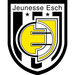Club logo Jeunesse Esch