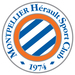 Vereinslogo HSC Montpellier