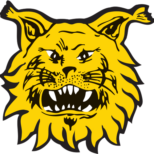 Vereinslogo Ilves Tampere