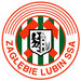 Club logo Zaglebie Lubin
