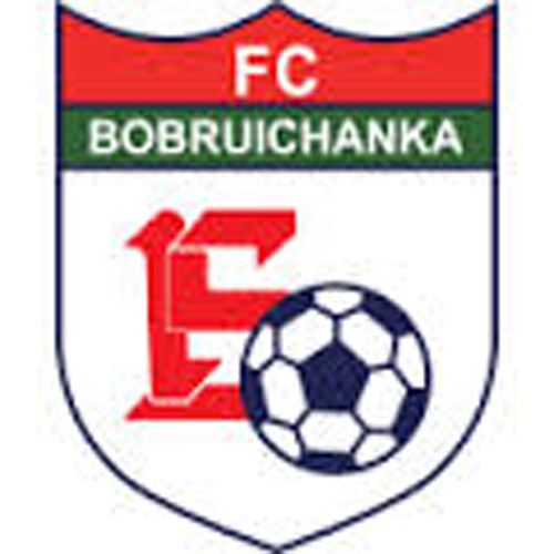 Vereinslogo FC Bobruichanka