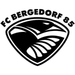 Club logo FC Bergedorf 85