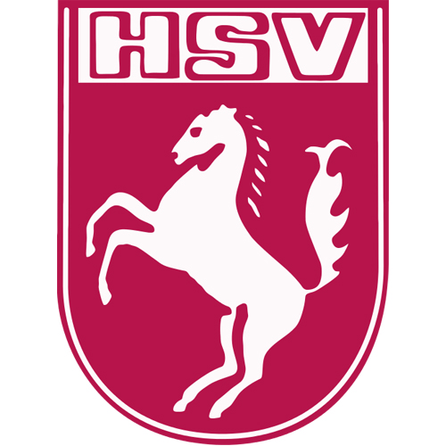 Vereinslogo Hammer SpVg