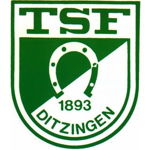 Club logo TSF Ditzingen