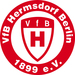 Vereinslogo VfB Hermsdorf
