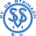 Club logo SV Steinach