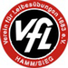 Club logo VfL Hamm/Sieg