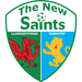 Vereinslogo The New Saints FC
