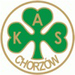 Club logo Wyzwolenie Chorzów