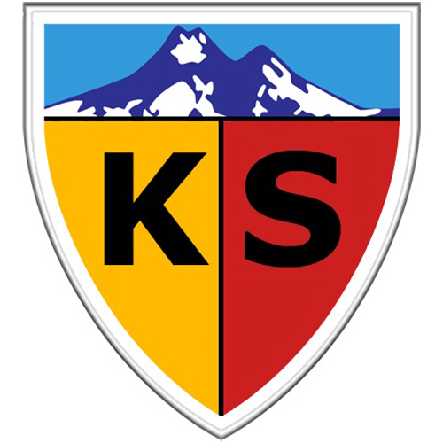 Vereinslogo Kayserispor