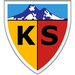 Club logo Kayserispor