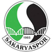 Club logo Sakaryaspor