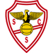 Vereinslogo SC Salgueiros