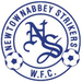 Club logo Crusaders Newtownabbey Strikers