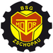 Club logo Motor Zschopau