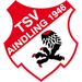 Club logo TSV Aindling