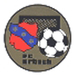 Club logo FC Erbach