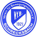 Vereinslogo VfB Schrecksbach