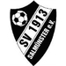 Club logo SVO Salmunster