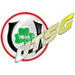 Club logo TSG Usingen