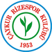 Club logo Çaykur Rizespor