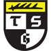 Club logo TSG Balingen