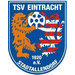 Club logo TSV Eintracht Stadtallendorf