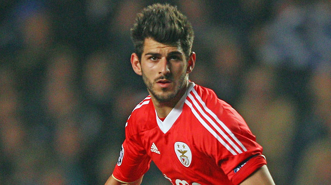 Nelson Oliveira Player profile DFB data center