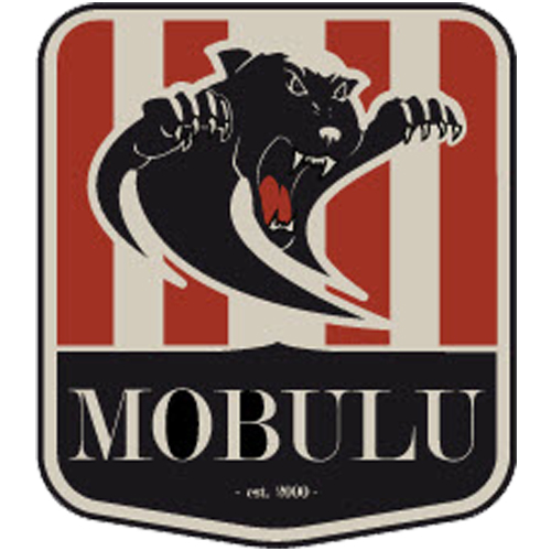 Mobulu Futsal Uni Bern