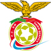 Vereinslogo FC RM Hamm Benfica