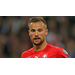 Profile picture ofHaris Seferovic