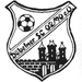 Club logo Döbelner SC