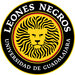 Club logo Leones Negros