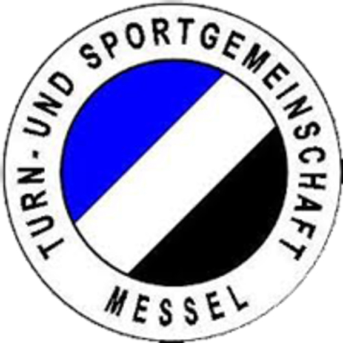 Vereinslogo TSG Messel