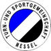 Vereinslogo TSG Messel