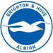 Vereinslogo Brighton & Hove Albion