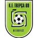 Vereinslogo KF Trepça’89
