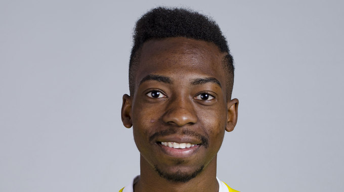 Profile picture ofGerhard Dombaxi