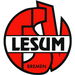 Vereinslogo TSV Lesum-Burgdamm Ü 40