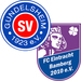 Vereinslogo SG SV Gundelsheim/FC Eintracht Bamberg U 15 (Futsal)