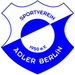 Vereinslogo SV Adler Berlin U 17 (Futsal)