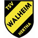 Vereinslogo TSV Hertha Walheim U 17 (Futsal)
